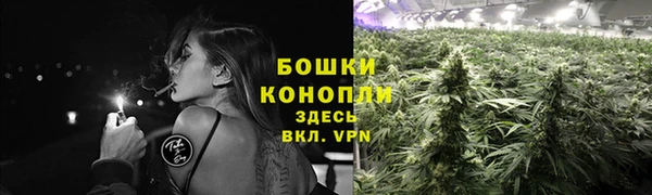 гидропоника Алексин
