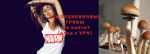 прущий лед Алексеевка
