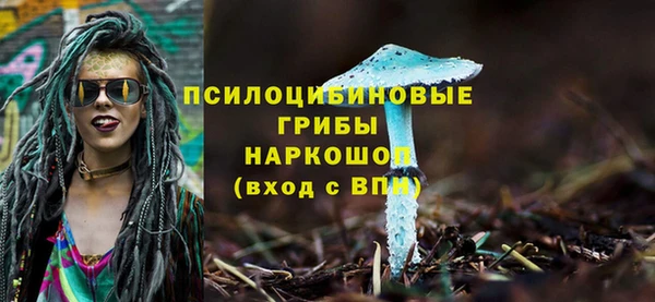 прущий лед Алексеевка
