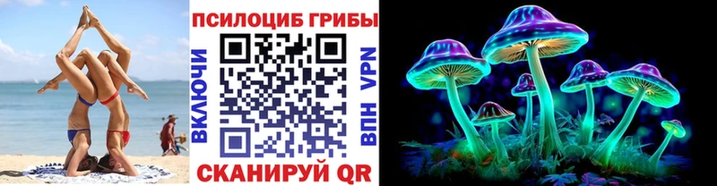 наркота  Вихоревка  Псилоцибиновые грибы Psilocybine cubensis 